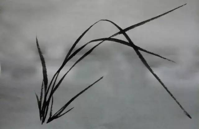 一学就会:兰花的写意画法