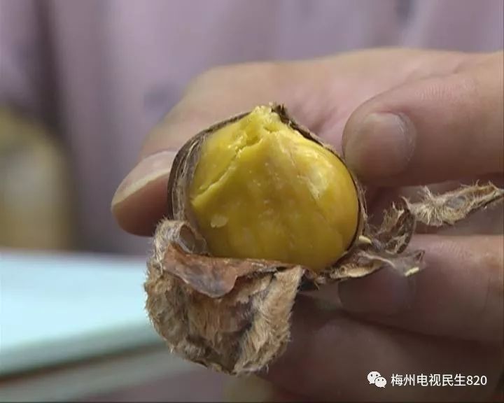 浑身是刺猜成语_浑身是刺的人图片(3)