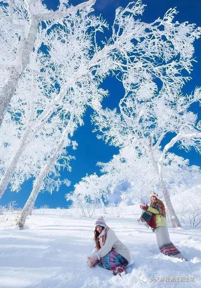 北海道别墅公寓 滑雪场也是江湖 这儿离家近摔不疼 卧室