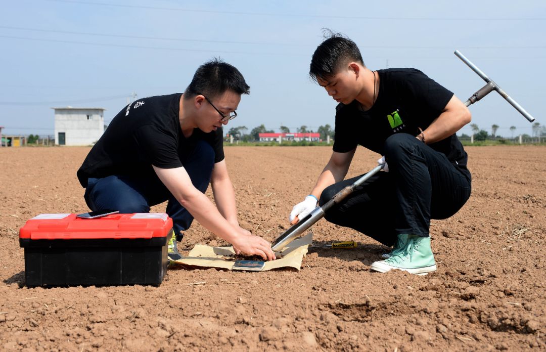 陕西省经济总量提升至全国_陕西省城市经济学校