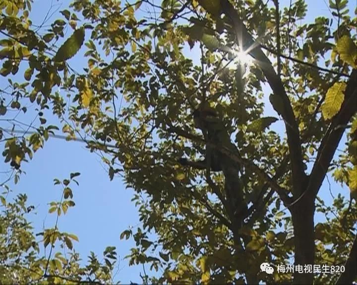 浑身是刺猜成语_浑身是刺的人图片(3)