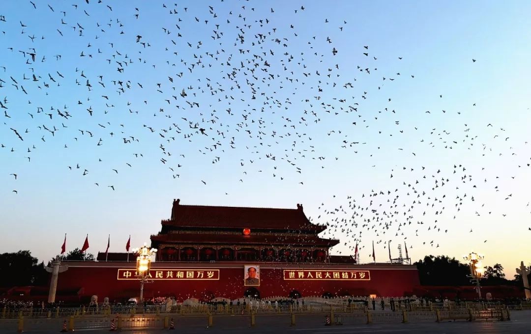 硅谷人口组成_血液组成图