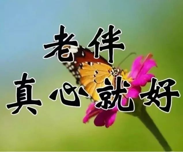 846d223faaea4e54a04cec4f5f2d33b0.jpeg