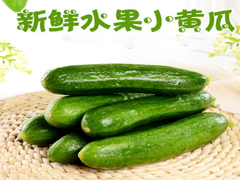919c35b2c1e3498f8d8ecb5706d1818d.png