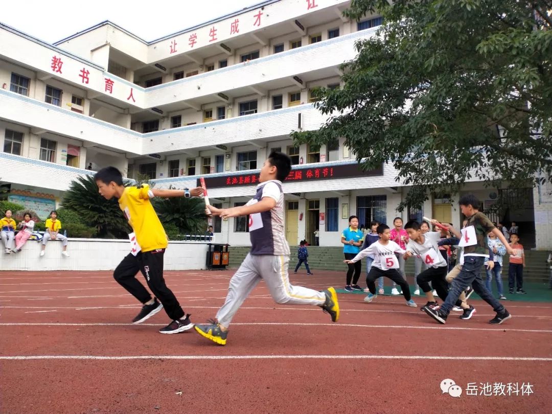 阳光体育庆祝新中国成立70周年顾县小学举办第三届体育节