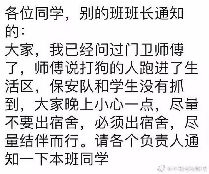 高校内两只流浪小奶狗被人打死，狗妈妈的呜咽声让人心碎