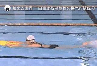 9eaafc081e394930ac5f9b8b1a659943.gif