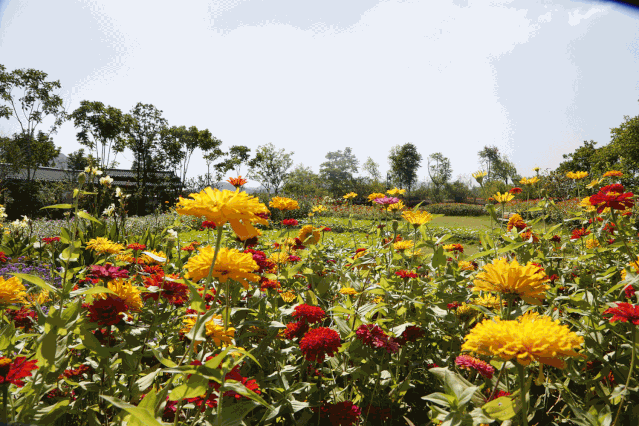 国庆约起!塘超小径这片