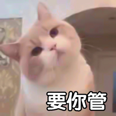a56be5c2466242f5abea67b6fbba0d68.jpeg