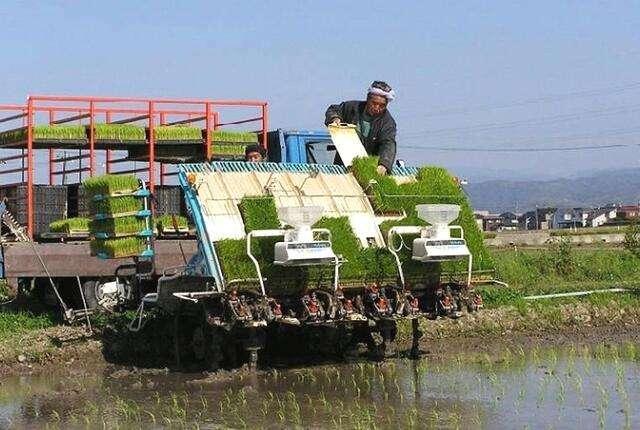 乡村的人口密度比城市越什么_城市人口密度图