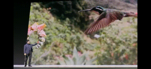 国庆出游短视频打卡,这三款手机一定不要错过