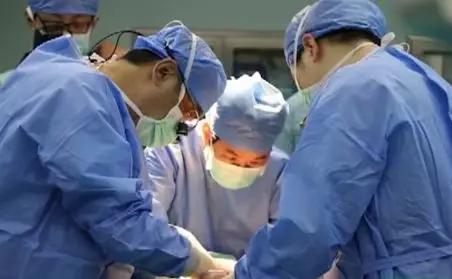 「深圳查查吧」噩梦成真！深圳一孩子熟睡中蟑螂钻进耳道中啃食