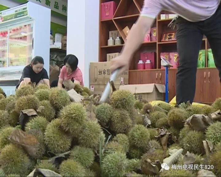 浑身是刺猜成语_浑身是刺的人图片(2)