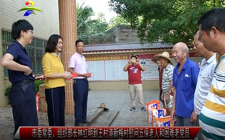 市委常委,组织部长林红明到王村港新梅村慰问五保老人和困难老党员
