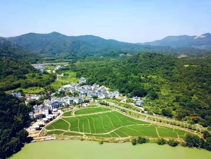 在从化,有一处近年来建设得如火如荼的特色"网红"小镇——米埗村民宿