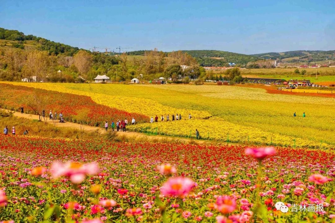 【行走】长春莲花山花海文化节