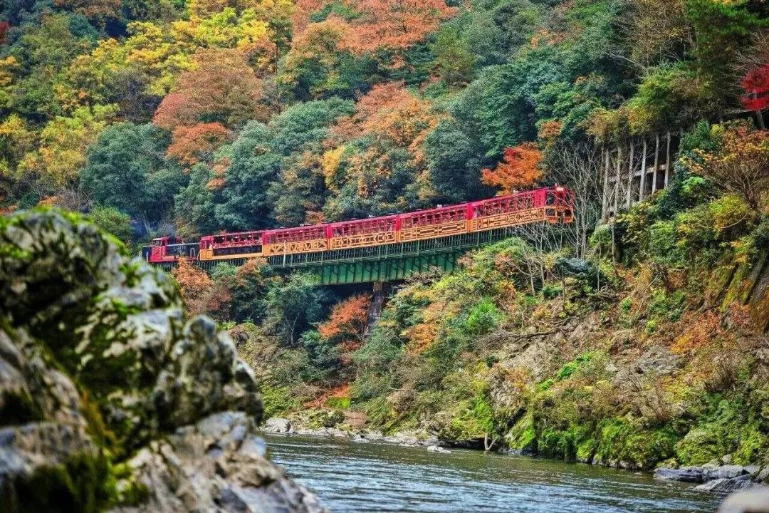 日本京都5大绝美景点推荐,日本旅游必去打卡地!_岚山