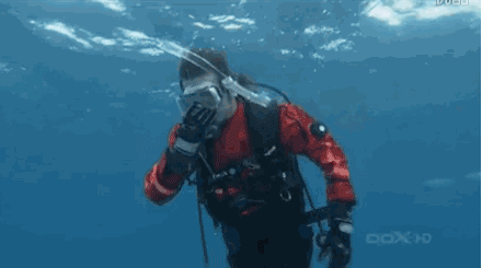 440_245gif 动态图 动图