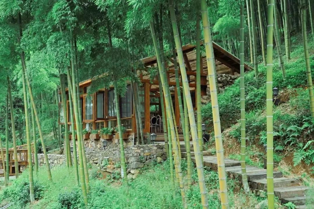 住莫干山loft星空屋丨享高颜值庭院&竹林仙境,静享两日山中小时光