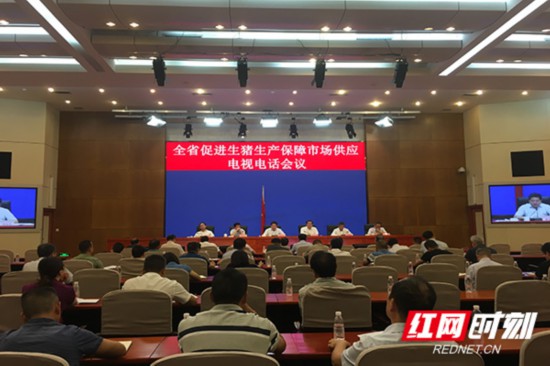 湖南省召开电视电话会议 促进生猪生产保障市场供应