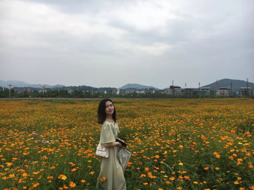 青年之声 | 三女跳崖