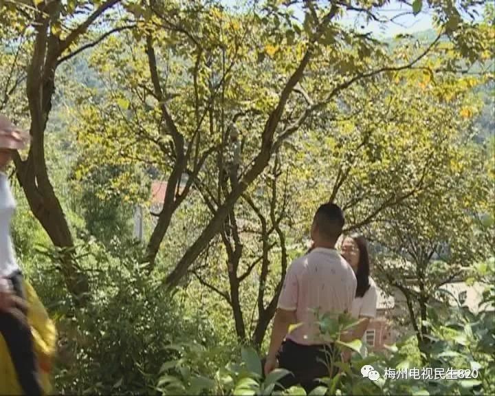 浑身是刺猜成语_浑身是刺的人图片(3)