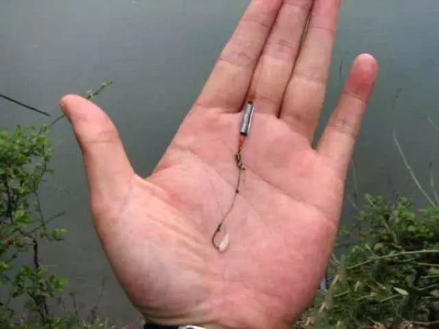 e80edf7c1a064d6497841101b45021ed.jpeg