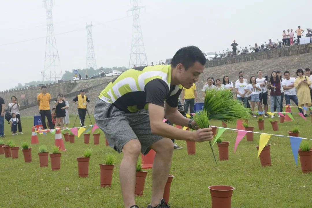 插秧收粮重拾农趣参加乡村运动会无限次玩飞拉达