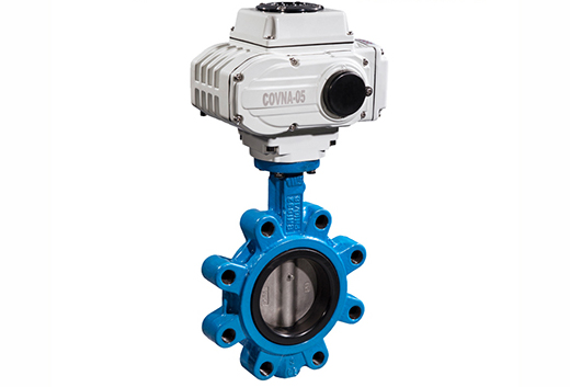 Butterfly valve