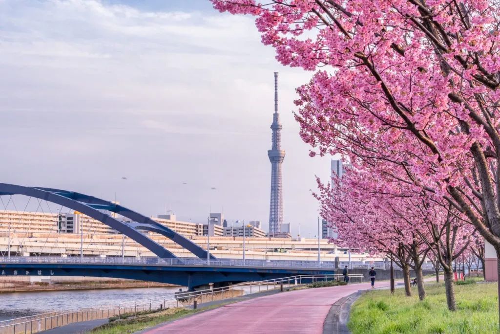 周董《说好不哭》mv中的7个日本取景地曝光,原来都在这!