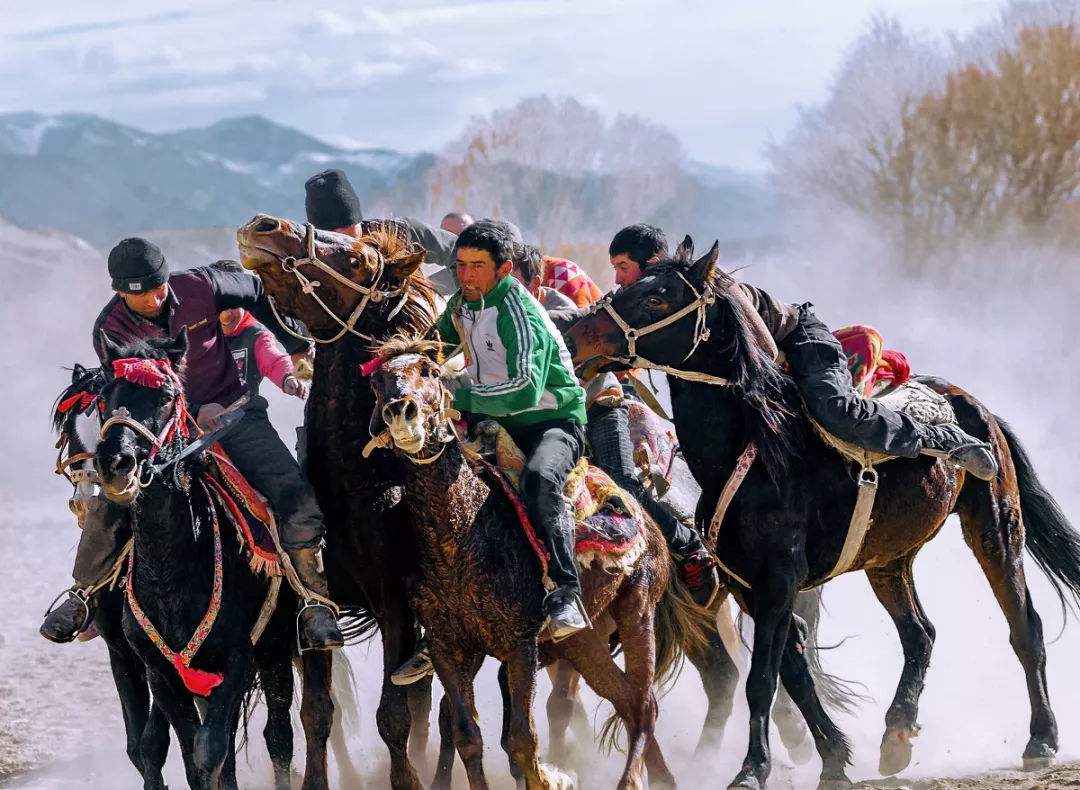 efff13bbf3fe47329ae8782e76e46241.jpeg