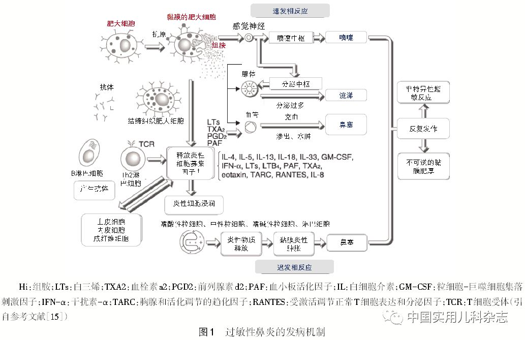 指南标准共识│抗组胺药治疗婴幼儿过敏性鼻炎的临床应用专家共识