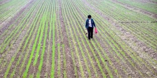 看图猜成语煮沸水农民晒谷_看图猜成语(2)