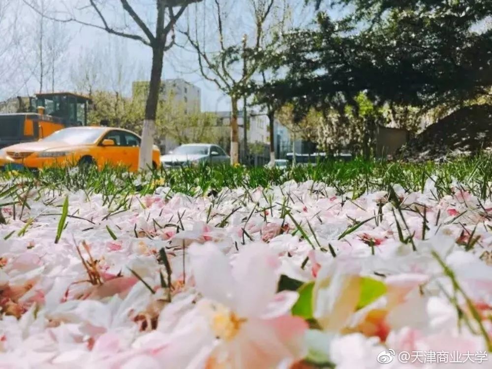 要火!天津又被《新闻联播》点名了!