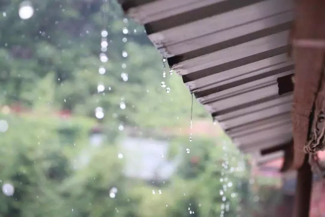 秋雨纷纷,有"相逢不语,一朵芙蓉著秋雨"的娇羞;有"卧迟灯灭后,睡美