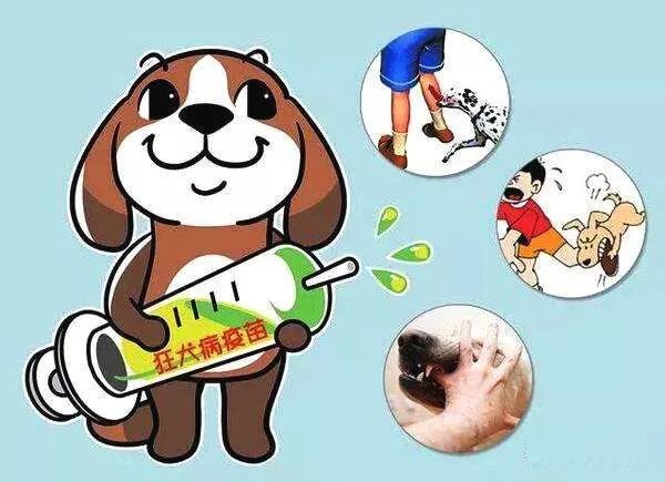 狂犬病什么时候可以完全治疗 0ad222772cae411eae07114103b84200.jpeg