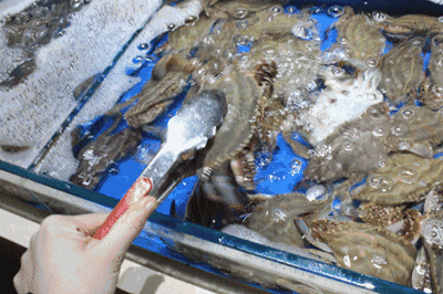 0c321e984ebc41cb88980a5057e70bb6.gif