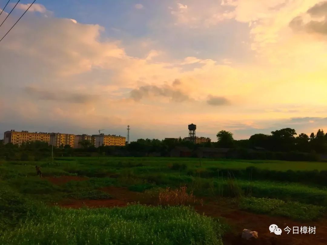 洋湖乡人口_绵阳盐亭莲花湖乡(2)