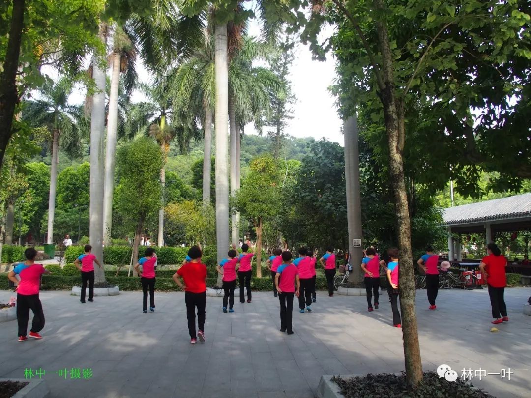 歌曲风含情水含笑