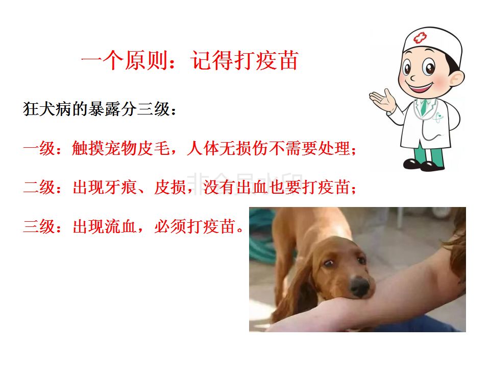 20bc51f95aeb4f819228ab16ceae528d.jpeg