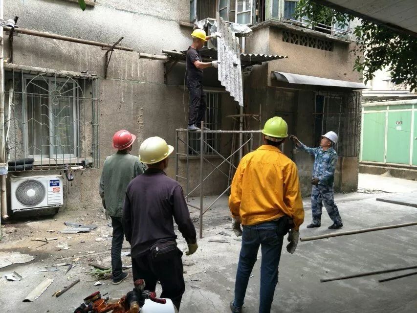 人口回潮_人口普查