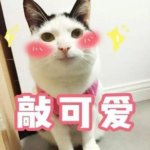 问猫什么成语_成语故事简笔画(3)