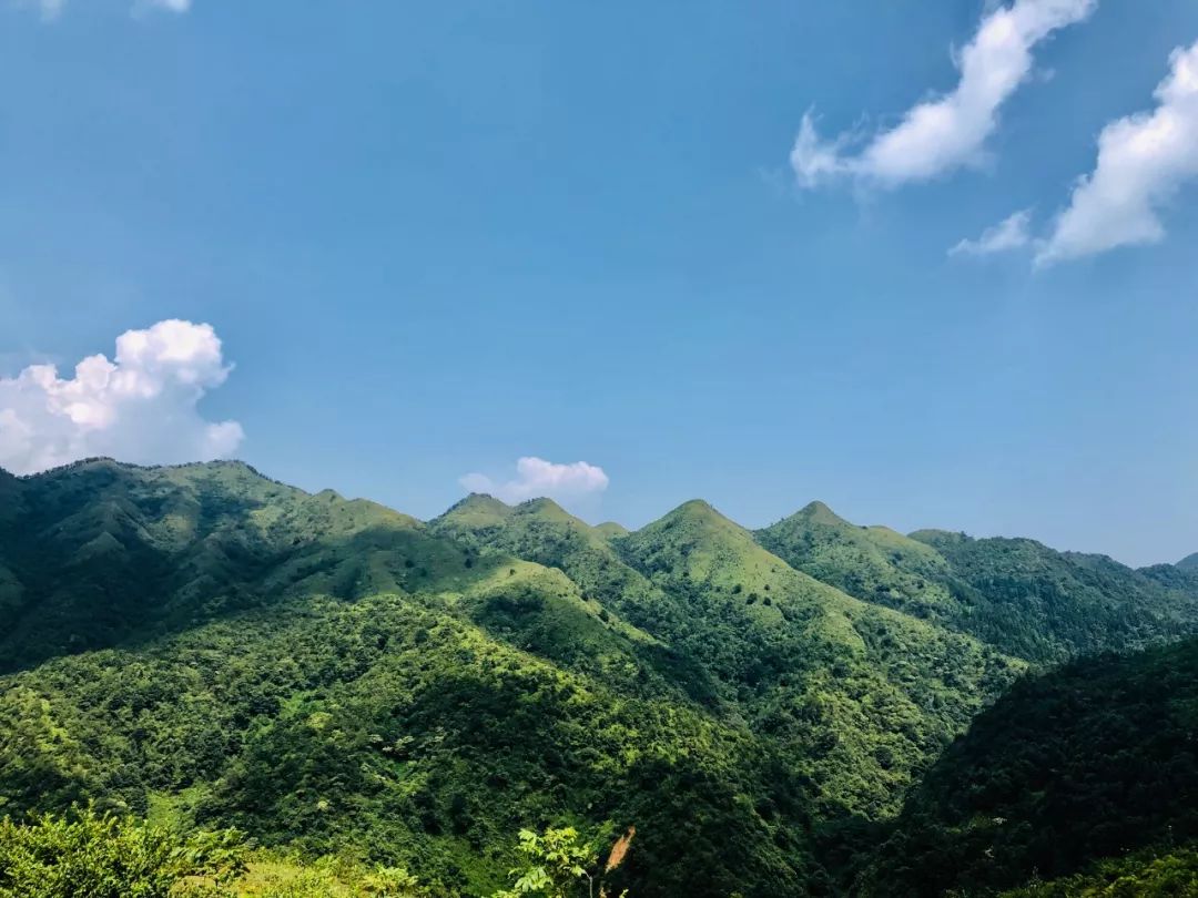 【一日精选】媲美武功山的徒步圣地,广东顶级徒步山脊