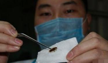 凡凡情感■原创2岁男童哭喊耳朵痛，医生检查发现鼓膜被啃，取出一看家长傻眼！