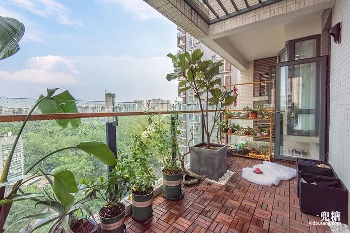 阳台种什么植物看起来高档 3b8f3d9a94e14285a60edd811f1cebfe.jpeg