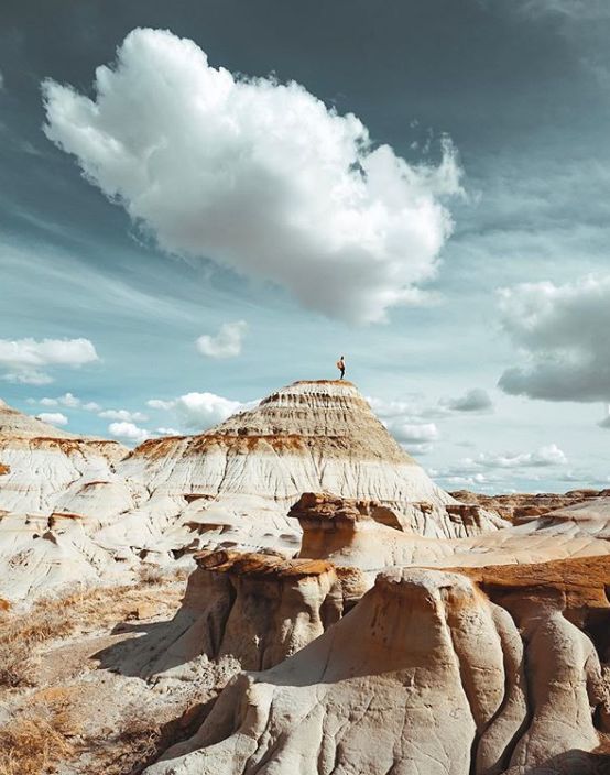 160万人围观猫片,INS另类博主亲身示范:释放天