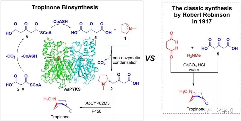 动物拜月的原理_资料分享 高考生物必考16 个实验原理大解析, 好资料一份就够了(3)