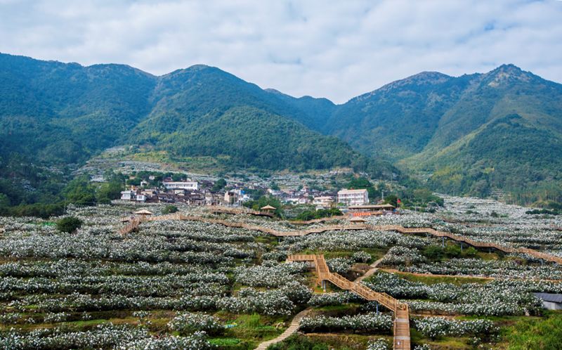 馨香园到金山镇搭岭村怎么走_东平湖金山坝怎么走(2)