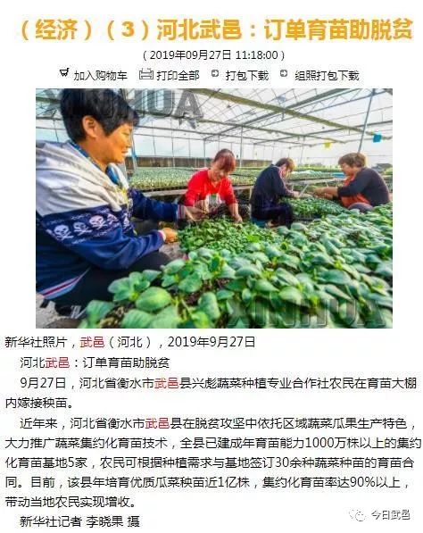 贫困人口通过扶贫岗位脱贫_扶贫用户贫困金申请表(3)