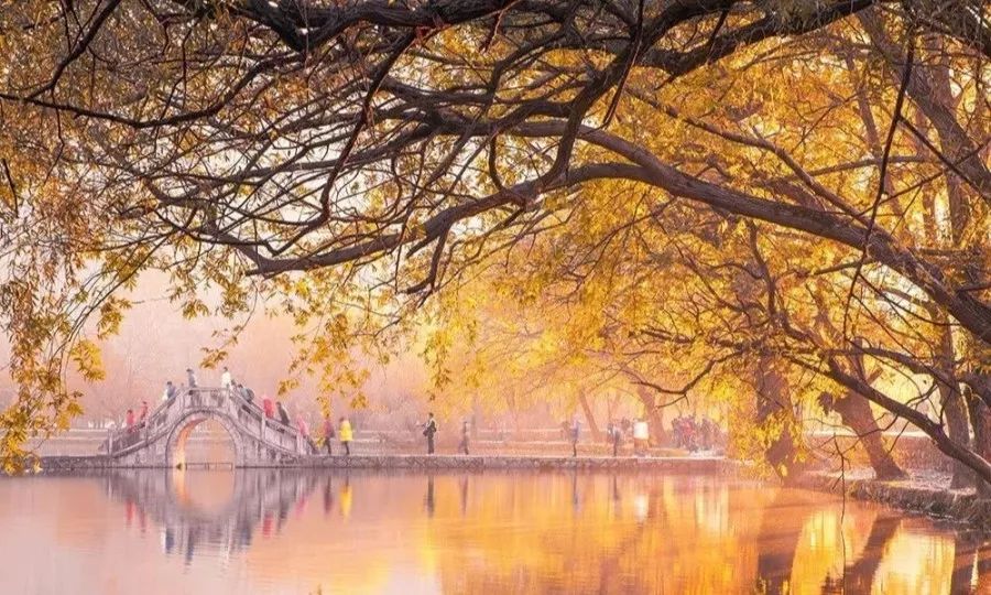 月、塔川红色预警,疯狂心动啦!画里乡村宏村,千